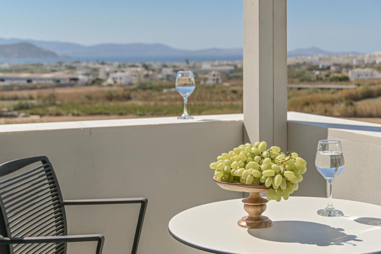 Villa Bazeos Naxos City Zewnętrze zdjęcie